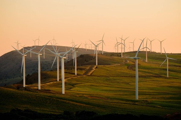 Quelles sont les initiatives locales en faveur des énergies vertes ?
