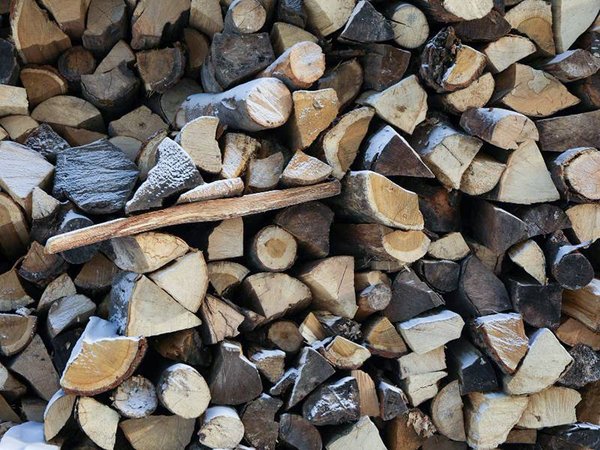 Le bois est-il une source d'énergie verte ?