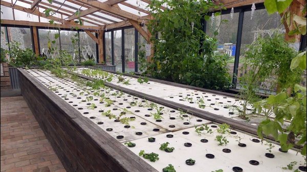 Qu'est-ce qu'une serre de jardin écologique ?